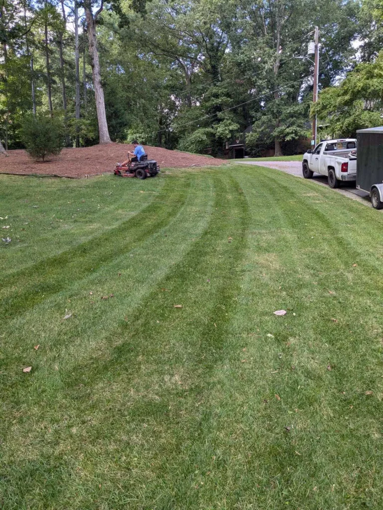 A person operates a riding lawn mower on a neatly striped lawn in Raleigh, with tall trees in the background and a white pickup truck parked nearby, indicating professional lawn care or lawn maintenance.